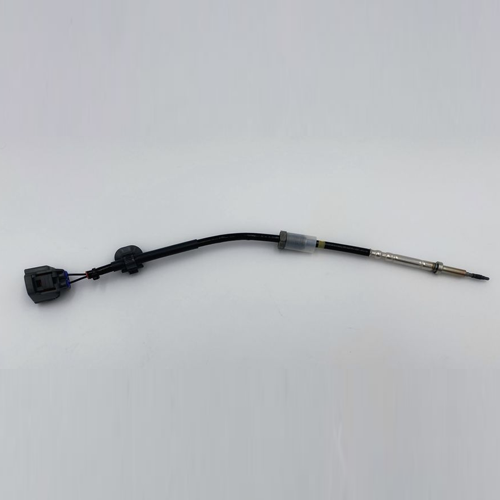 Exhaust Sensor